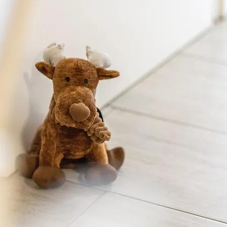 Einliegerwohnung Auf Reitanlage